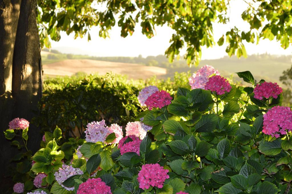 Agriturismo Cavazzone Regnano  Eksteriør bilde